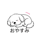 名前入りマルチーズショート（個別スタンプ：6）