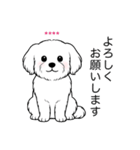 名前入りマルチーズショート（個別スタンプ：7）