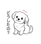 名前入りマルチーズショート（個別スタンプ：8）