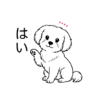名前入りマルチーズショート（個別スタンプ：9）