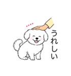 名前入りマルチーズショート（個別スタンプ：14）