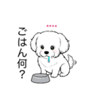 名前入りマルチーズショート（個別スタンプ：20）