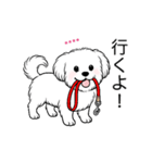 名前入りマルチーズショート（個別スタンプ：21）