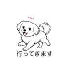 名前入りマルチーズショート（個別スタンプ：22）