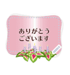 8月の誕生花＊メッセージスタンプ（個別スタンプ：10）