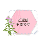 8月の誕生花＊メッセージスタンプ（個別スタンプ：21）