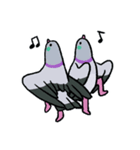 鳩にはトラブル無用 3（個別スタンプ：1）