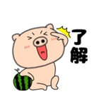 【夏】ぶたまる113（個別スタンプ：35）