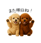 毎日使える！夏のプードル（個別スタンプ：4）