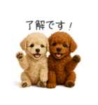 毎日使える！夏のプードル（個別スタンプ：7）