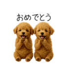 毎日使える！夏のプードル（個別スタンプ：19）