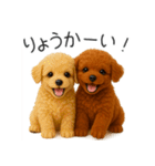 毎日使える！夏のプードル（個別スタンプ：21）