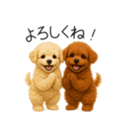 毎日使える！夏のプードル（個別スタンプ：23）