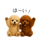 毎日使える！夏のプードル（個別スタンプ：27）