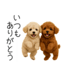 毎日使える！夏のプードル（個別スタンプ：30）