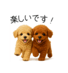 毎日使える！夏のプードル（個別スタンプ：33）