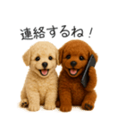 毎日使える！夏のプードル（個別スタンプ：35）