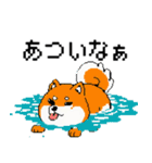 犬のスタンプ_01（個別スタンプ：1）