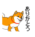 犬のスタンプ_01（個別スタンプ：2）