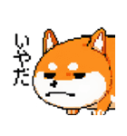 犬のスタンプ_01（個別スタンプ：3）