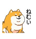 犬のスタンプ_01（個別スタンプ：4）