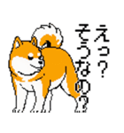 犬のスタンプ_01（個別スタンプ：5）