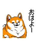 犬のスタンプ_01（個別スタンプ：6）
