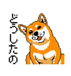 犬のスタンプ_01（個別スタンプ：8）