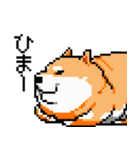 犬のスタンプ_01（個別スタンプ：9）