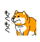 犬のスタンプ_01（個別スタンプ：11）