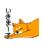 犬のスタンプ_01（個別スタンプ：13）