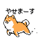 犬のスタンプ_01（個別スタンプ：14）