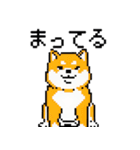 犬のスタンプ_01（個別スタンプ：15）