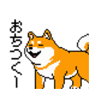 犬のスタンプ_01（個別スタンプ：16）