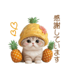 パイナップル帽 スコティッシュ猫 敬語ver（個別スタンプ：5）