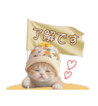 パイナップル帽 スコティッシュ猫 敬語ver（個別スタンプ：6）