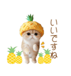 パイナップル帽 スコティッシュ猫 敬語ver（個別スタンプ：7）