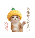 パイナップル帽 スコティッシュ猫 敬語ver（個別スタンプ：11）