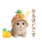 パイナップル帽 スコティッシュ猫 敬語ver（個別スタンプ：12）
