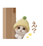 パイナップル帽 スコティッシュ猫 敬語ver（個別スタンプ：15）