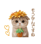パイナップル帽 スコティッシュ猫 敬語ver（個別スタンプ：17）