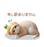 パイナップル帽 スコティッシュ猫 敬語ver（個別スタンプ：19）