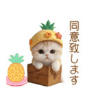 パイナップル帽 スコティッシュ猫 敬語ver（個別スタンプ：20）