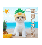 パイナップル帽 スコティッシュ猫 敬語ver（個別スタンプ：22）