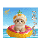 パイナップル帽 スコティッシュ猫 敬語ver（個別スタンプ：23）