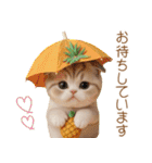 パイナップル帽 スコティッシュ猫 敬語ver（個別スタンプ：25）