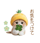 パイナップル帽 スコティッシュ猫 敬語ver（個別スタンプ：26）