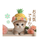 パイナップル帽 スコティッシュ猫 敬語ver（個別スタンプ：27）