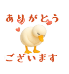 もちもち3D★アヒルの日常敬語（個別スタンプ：4）
