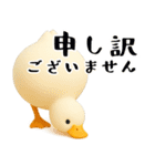 もちもち3D★アヒルの日常敬語（個別スタンプ：25）